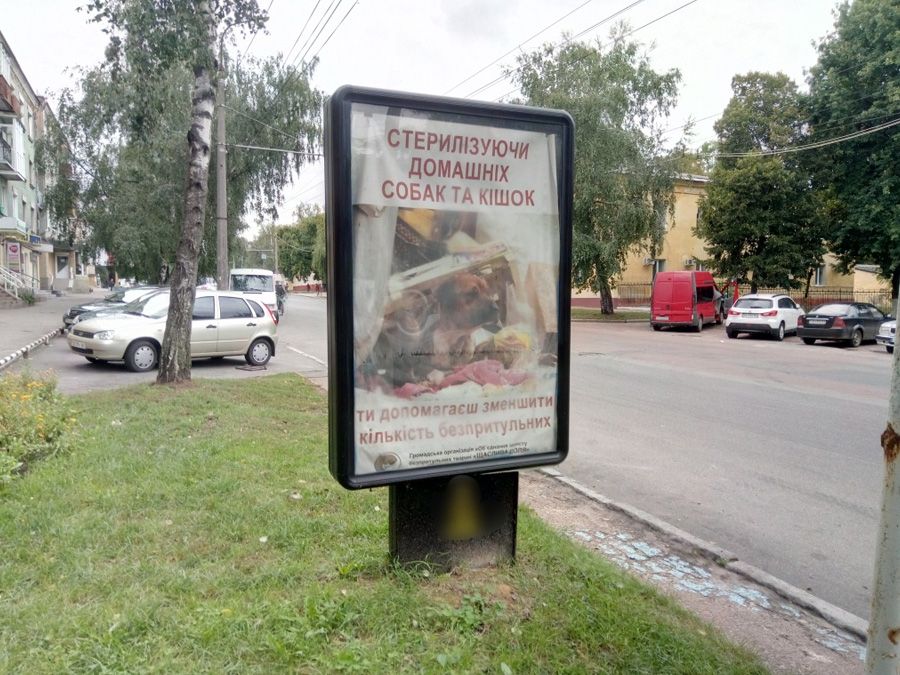 board