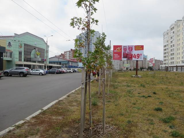 board