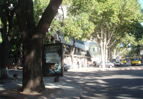 board