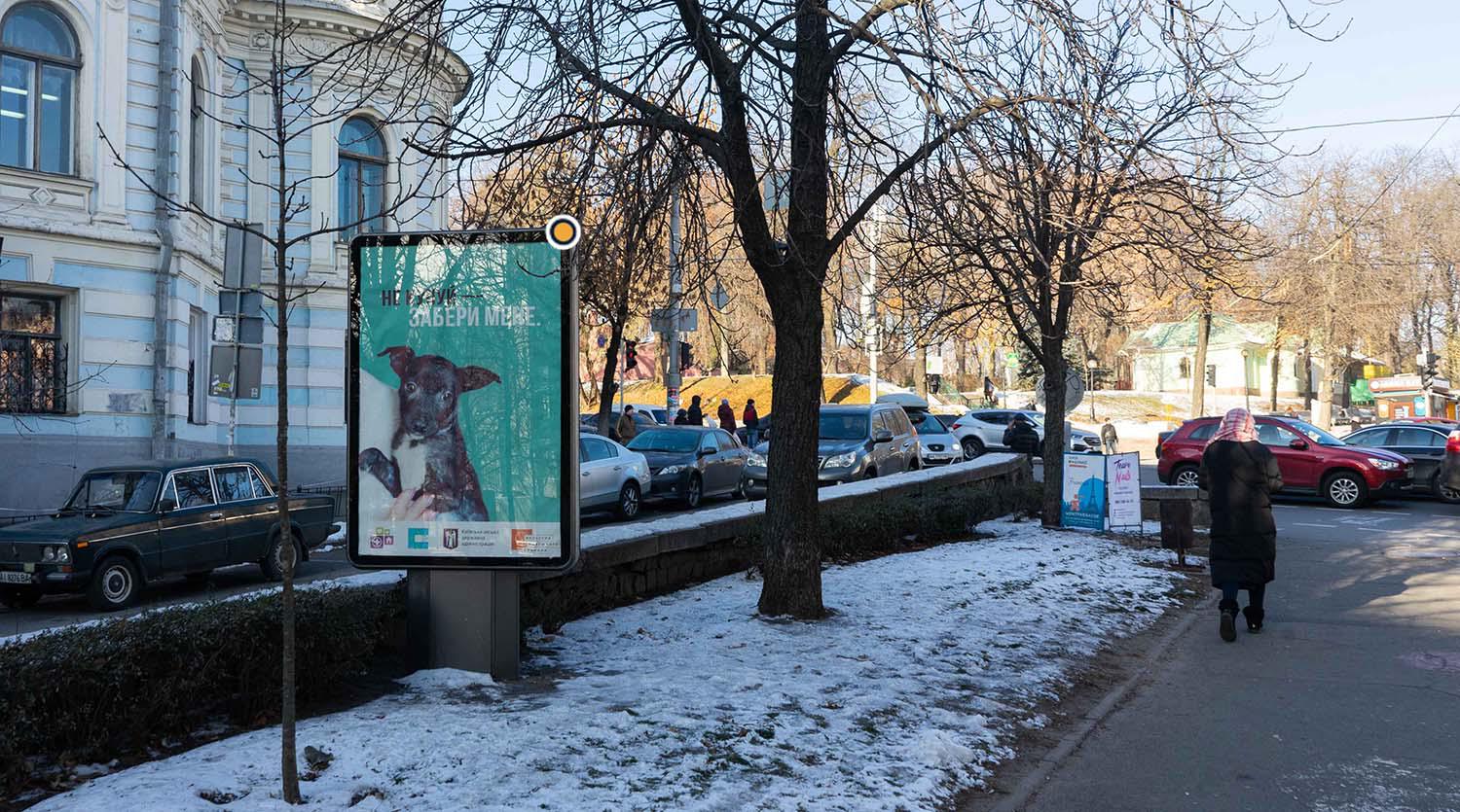 Ситилайт Киев,  Антоновича вул. (Горького). роздільник