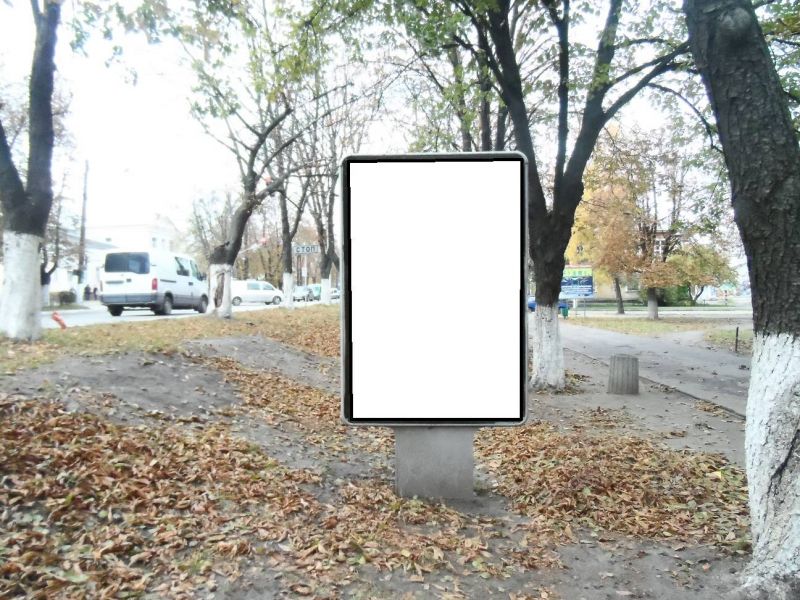 board