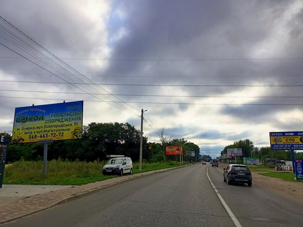 Билборд Вишневе (Вишневе),  с. Софіїська Борщагівка, вул. Соборна, 118