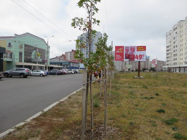 board