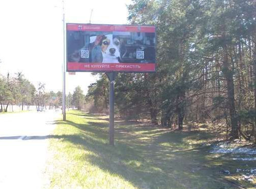 Billboard Koncha-Zaspa,  Stolicne sose