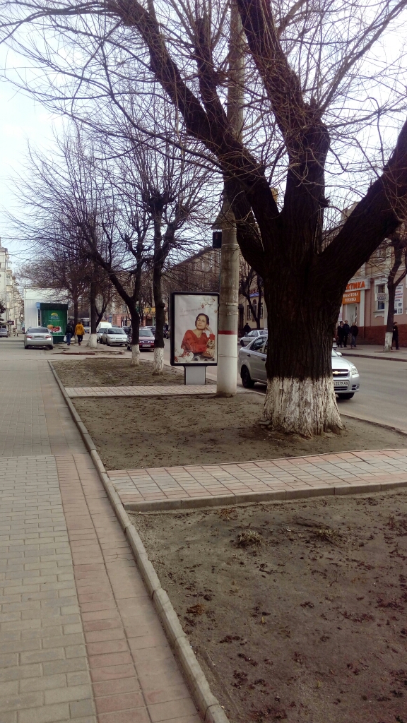 board