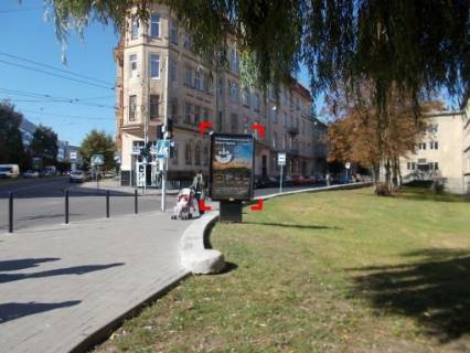 Ситилайт A в Львове вул. Шептицьких (навпроти буд. 1) фото 1