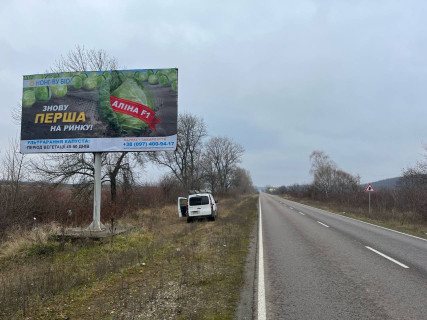 Billboard B in Vinogradiv, 6x3  Viizd z m. Vinogradovo, v storonu s. Onok Photo 1