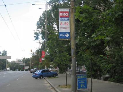 Нестандарт  в Киеве Липковського вул. фото 1