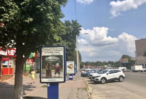 Ситилайт B в Лубнах, 1.2x1.1  пр-т Володимирський 48 фото 1