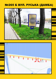 Сiтiлайт A у Тернополі, 1,2х1,8  Дамба (біла парку) Фото 1