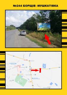 Билборд A в Васильевке Борщів с.Мушкатівка фото 1