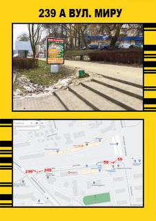 Билборд A в Тернополе Миру(біля АТБ) фото 1