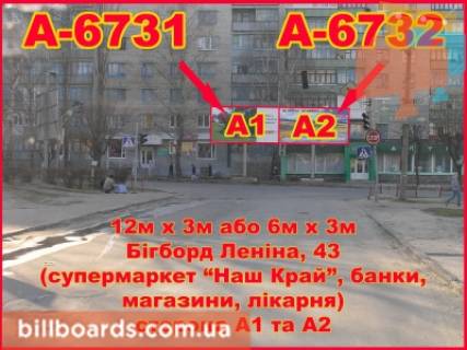 Билборд B в Бердичеве Житомирская,  43 (Аптека, Наш край) фото 1