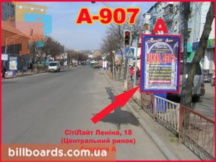 Citylight A in Berdychiv Zitomirskaa, 18 (Rynok) Photo 1