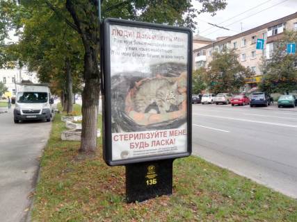 Ситилайт B в Чернигове проспект Победы, 83, маг Ананас (сторона Б) фото 1