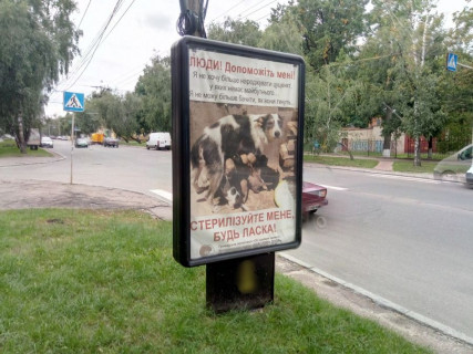 Ситилайт B в Чернигове, с44b  вул. Івана Мазепи (Щорса), 4, маг Кабани (сторона Б) фото 1