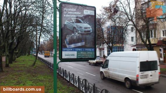 Citylight A in Chernihiv Mira av. 49, magazin Kosmo Photo 1