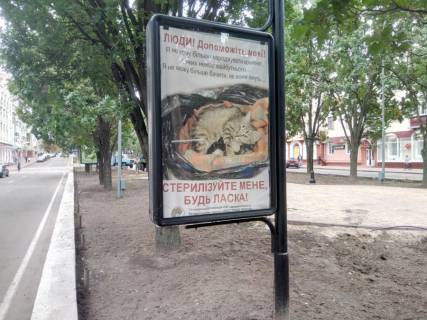 Citylight B in Chernihiv, с57b  prospekt Mira, 29, mag DM (storona B) Photo 1