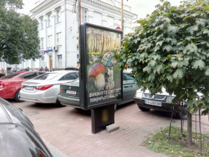 Ситилайт A в Чернигове, с10a  проспект Миру, 30, Детский Мир (сторона А) фото 1