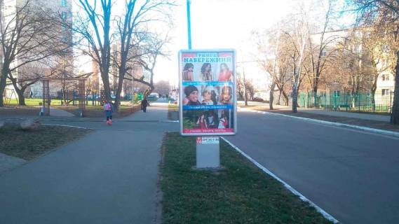 Ситилайт B в Вышгороде Вул. Дніпровська, 330 м. після повороту з пр-ту Мазепи на вул. Дніпровську, праворуч фото 1