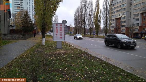 Ситилайт B в Вышгороде Ул. Шолуденко, 40 м. до поворота на пр-т Мазепы фото 1