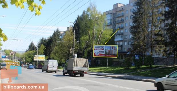 Билборд A в Тернополе, 3х6  С. Бандери фото 1
