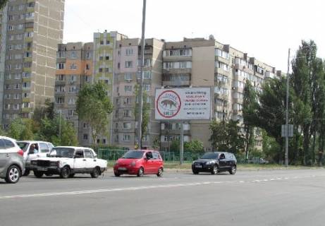 Билборд B в Киеве, 3x6  Драйзера Теодора ул., напротив №21 фото 1