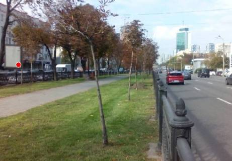 Ситилайт B в Киеве Победы пр., 3 фото 1
