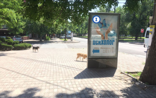 Билборд B в Николаеве, 1,25*1,86  Центральний просп. (Леніна просп.), 70 - кут вул. Фалеевской, МТС, Челентано - ПЕРШИЙ фото 1