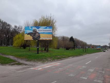Билборд A в Каменское (Днепродзержинск) пр.Аношкина, напротив кож-вен .диспансера фото 1