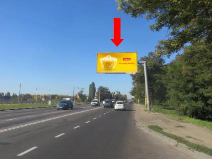 Билборд  в Одессе, 3x6  Овідіопольська дорога, біля супермаркетів "Шостий елемент", "METRO" (флажок) фото 1