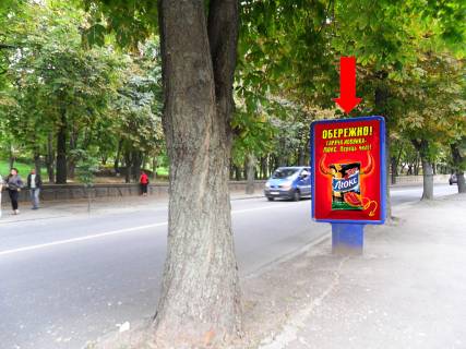 Сiтiлайт  у Рівному, 1.8x1.2  Чорновола вул., 40 / вул. Казимира Любомирського (Лермонтова)., навпроти парку ім. Шевченка Фото 1