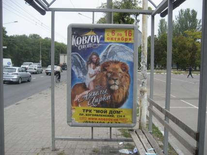 Ситилайт A в Николаеве Героїв Сталінграда пр., 9Т, зупинка "УДМТУ" фото 1