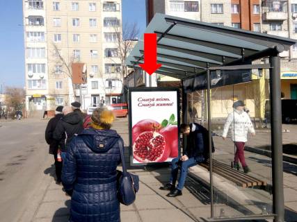 Ситилайт  в Львове, 1.8x1.2  Червоної Калини пр., 109, зуп. "пр. Червоної Калини", в центр фото 1