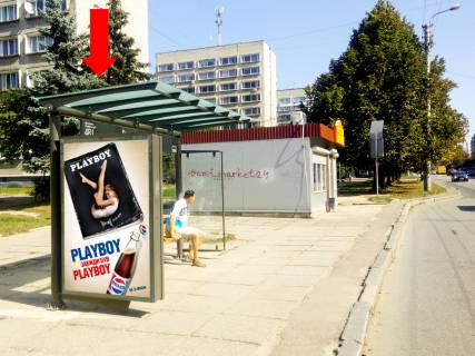 Ситилайт  в Львове, 1.8x1.2  Великого В. вул., 22 / вул. Княгині Ольги (зупинка "Володимира Великого"), в бік вул. Стрийської фото 1