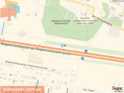 Билборд B в Киеве Бориспільське шосе, км 27 + 450м, 1 км перед зупинкою "с. Мала Олександрівка", з м.Києва схема
