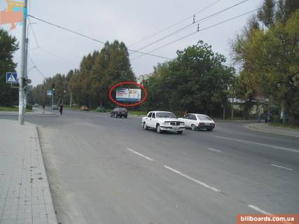 Білборд, Бігборд (Борд)  A у Тернополі Торговиця вул. (Живова). - Шашкевича вул., Нижній Фото 1