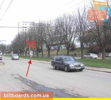 Ситилайт B в Тернополе Крушельницкой ул., 1А, возле художественного музея, разделитель фото 1