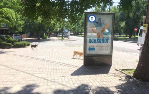 Ситискролл B в Николаеве Центральний просп. (Леніна просп.)., 70 - Олексія Вадатурського вул. (Фалєєвська) ., перший фото 1