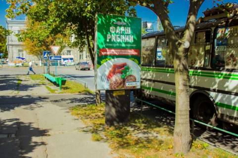 Ситилайт B в Бердянске Труда пр., 18/36, возле светлофора фото 1