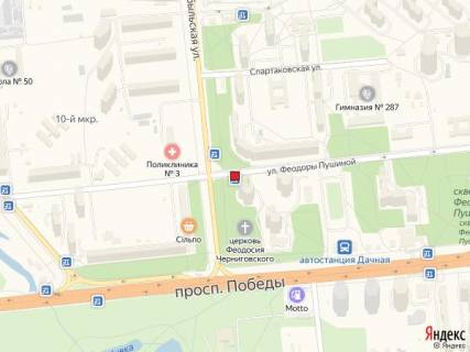 Нестандарт A в Киеве Вул. Феодори Пушиної схема