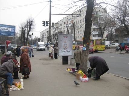Ситилайт B в Житомире вул. Бердичівська (зупинка Довженко, маркет Квартал) ст.Б фото 1