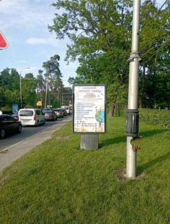 Сiтiлайт A у Бучі, 1,2x1,8  вул.Нове Шосе, біля Новуса, в Київ Фото 1
