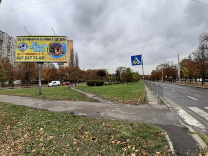 Призма A в Киеве, 3х6  просп. Правди / вул. Г.Гонгадзе по просп. Європейського Союзу (Правди) - 394315 фото 3