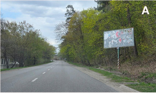 Билборд A в Кропивницкий (Кировоград), 3x6  Траса Р10, с. Будище фото 1