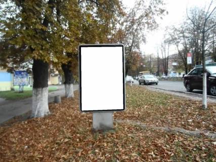 Ситилайт B в Фастове г.Фастов, ул.Соборная, 34, Вечерний рынок фото 1
