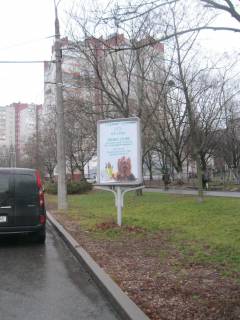 Сiтiлайт A у Чернігові, 1.2х1.8  м. Чернігів, вул. Левка Лук'яненка (Рокосовського), 16А, на узбіччі Фото 1