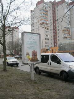 Ситилайт B в Чернигове, 1.2х1.8  м. Чернігів, вул. Левка Лук'яненка (Рокосовського), 39, на узбіччі фото 1