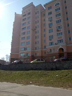 Нестандарт B у Вишгороді, -  Вышгород, Шевченко 6А (лев) Фото 1