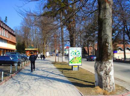 Ситилайт B в Яремче, 1,2x1,8  Траса Н-09 Мукачево-Львів, Свободи, ТК Яремче, банк Хрещатик, маг. Росана, напрямок руху на Івано-Франківськ фото 1